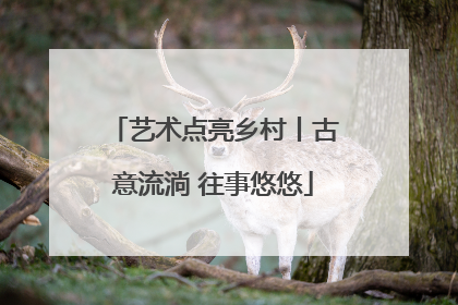 艺术点亮乡村丨古意流淌 往事悠悠