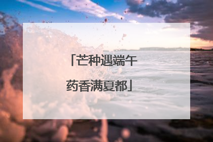 芒种遇端午 药香满夏都