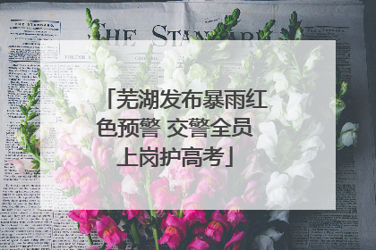 芜湖发布暴雨红色预警 交警全员上岗护高考