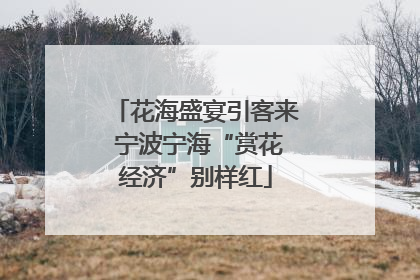 花海盛宴引客来 宁波宁海“赏花经济”别样红