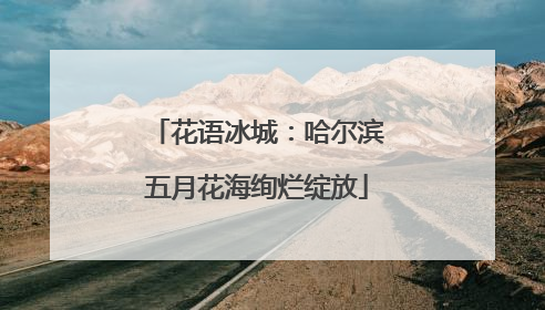 花语冰城：哈尔滨五月花海绚烂绽放