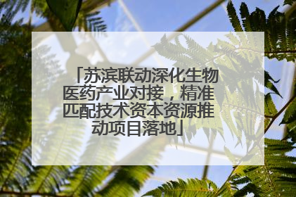 苏滨联动深化生物医药产业对接，精准匹配技术资本资源推动项目落地