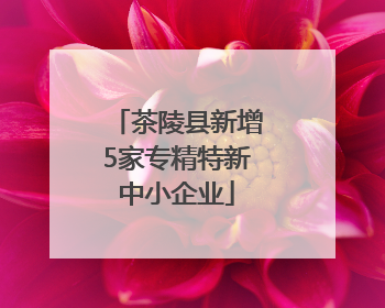 茶陵县新增5家专精特新中小企业