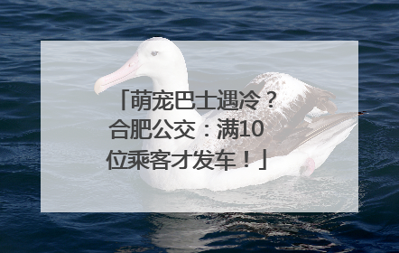 萌宠巴士遇冷？合肥公交：满10位乘客才发车！
