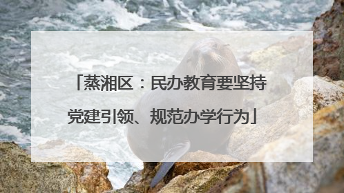蒸湘区：民办教育要坚持党建引领、规范办学行为