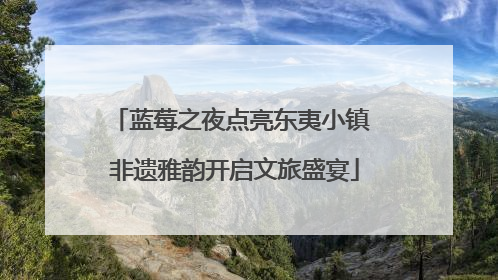 蓝莓之夜点亮东夷小镇 非遗雅韵开启文旅盛宴
