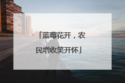 蓝莓花开，农民增收笑开怀
