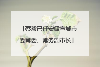 蔡毅已任安徽宣城市委常委、常务副市长