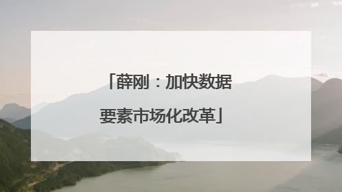 薛刚：加快数据要素市场化改革