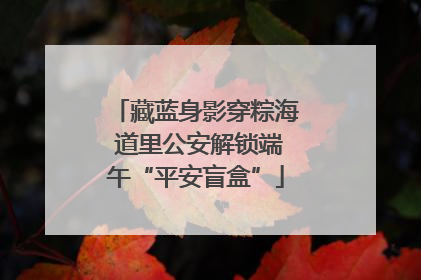 藏蓝身影穿粽海 道里公安解锁端午“平安盲盒”