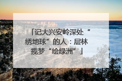 记大兴安岭深处“绣地球”的人：层林揽梦“绘绿洲”