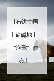 行进中国丨盐碱地上“渔歌”嘹亮
