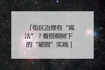 街区治理有“魔法”？看梧桐树下的“破圈”实践｜我在街区当书记