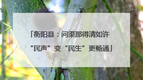 衡阳县：问渠那得清如许 “民声”变“民生”更畅通