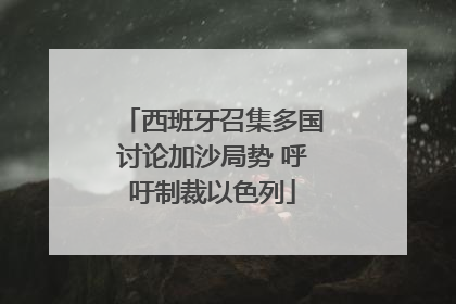 西班牙召集多国讨论加沙局势 呼吁制裁以色列