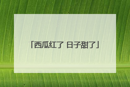 西瓜红了 日子甜了