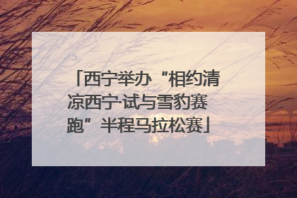 西宁举办“相约清凉西宁·试与雪豹赛跑”半程马拉松赛