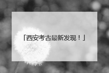 西安考古最新发现！