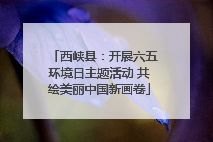 西峡县：开展六五环境日主题活动 共绘美丽中国新画卷