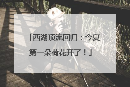 西湖顶流回归：今夏第一朵荷花开了！