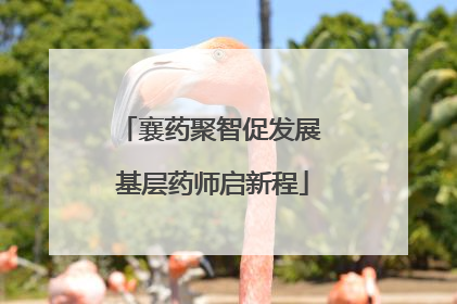 襄药聚智促发展 基层药师启新程