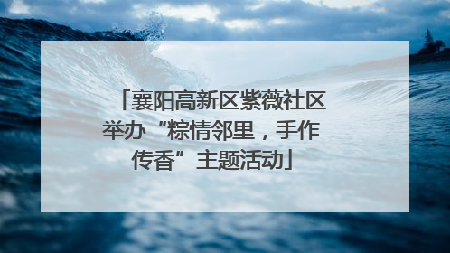 襄阳高新区紫薇社区举办“粽情邻里，手作传香”主题活动