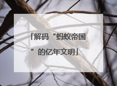 解码“蚂蚁帝国”的亿年文明