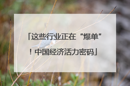 这些行业正在“爆单”！中国经济活力密码