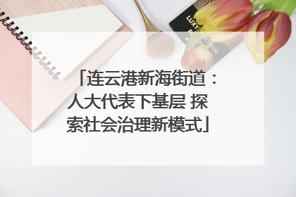 连云港新海街道：人大代表下基层 探索社会治理新模式