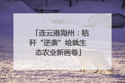 连云港海州：秸秆“逆袭”绘就生态农业新画卷
