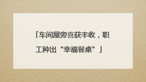 车间屋旁喜获丰收，职工种出“幸福餐桌”