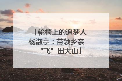 轮椅上的追梦人杨淑亭：带领乡亲“飞”出大山