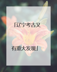 辽宁考古又有重大发现