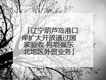 辽宁葫芦岛港口岸扩大开放通过国家验收 将增强东北地区外贸业务
