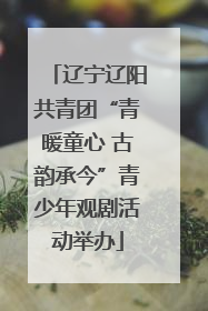 辽宁辽阳共青团“青暖童心 古韵承今”青少年观剧活动举办