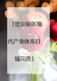 贵安新区现代产业体系日臻完善