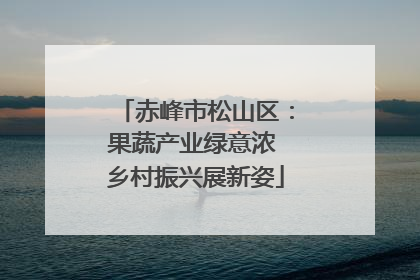 赤峰市松山区：果蔬产业绿意浓 乡村振兴展新姿