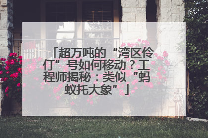 超万吨的“湾区伶仃”号如何移动？工程师揭秘：类似“蚂蚁托大象”