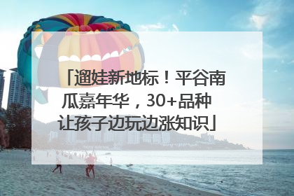 遛娃新地标！平谷南瓜嘉年华，30+品种让孩子边玩边涨知识