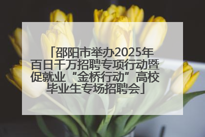 邵阳市举办2025年百日千万招聘专项行动暨促就业“金桥行动”高校毕业生专场招聘会