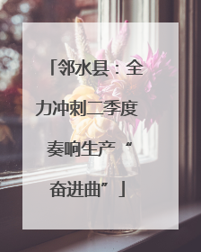 邻水县：全力冲刺二季度 奏响生产“奋进曲”