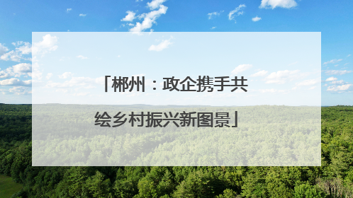 郴州：政企携手共绘乡村振兴新图景