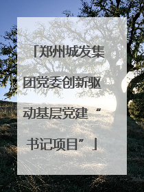 郑州城发集团党委创新驱动基层党建“书记项目”