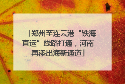 郑州至连云港“铁海直运”线路打通，河南再添出海新通道