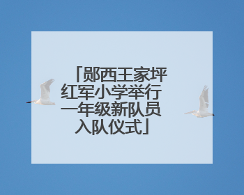 郧西王家坪红军小学举行一年级新队员入队仪式