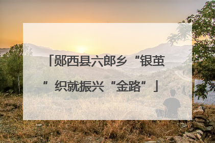 郧西县六郎乡“银茧”织就振兴“金路”