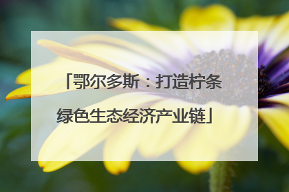 鄂尔多斯：打造柠条绿色生态经济产业链