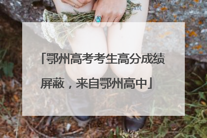 鄂州高考考生高分成绩屏蔽，来自鄂州高中
