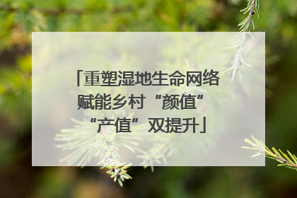 重塑湿地生命网络 赋能乡村“颜值”“产值”双提升