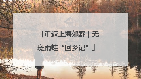 重返上海郊野｜无斑雨蛙“回乡记”